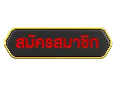 vk191 สมัคร